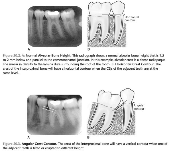 tulum dentistry definition